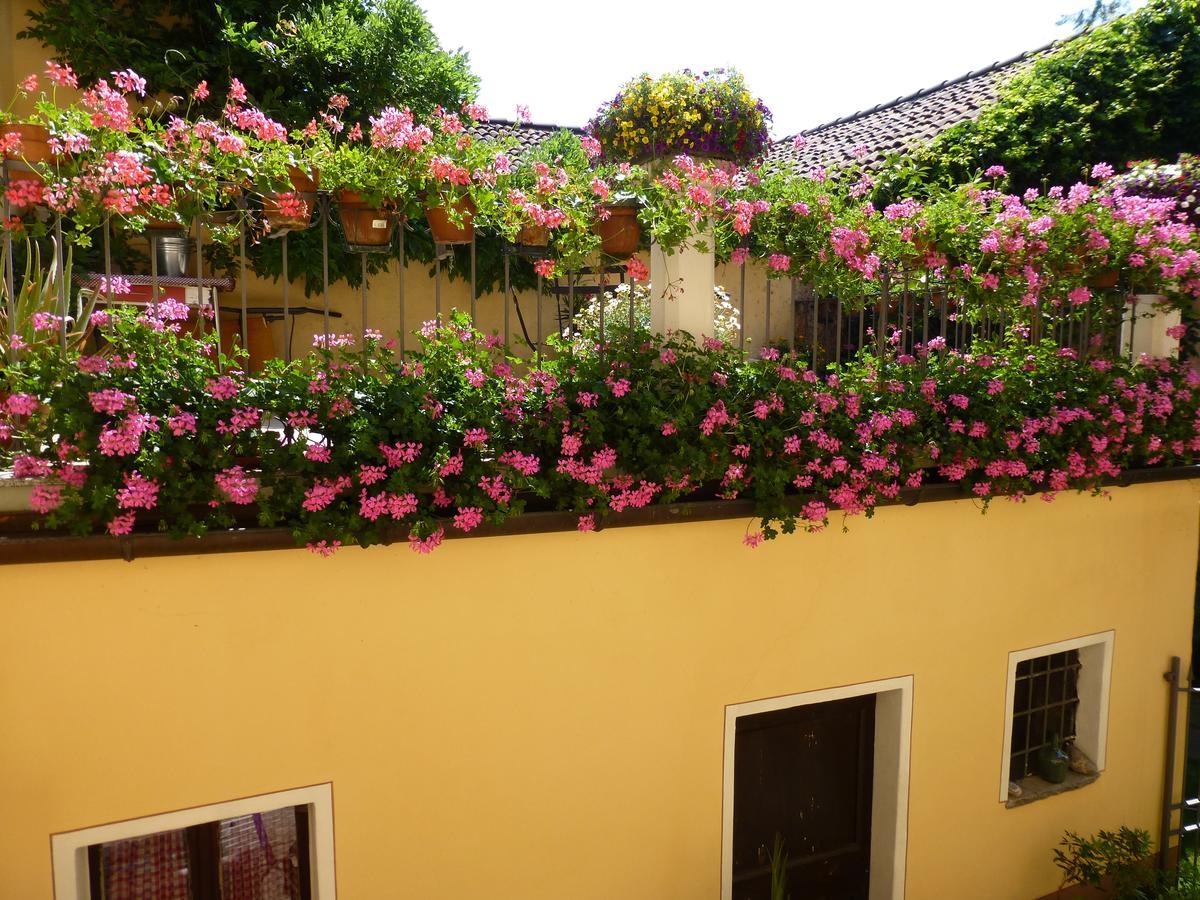 Chez Marianne "Chambres D'Hotes" Astano Luaran gambar